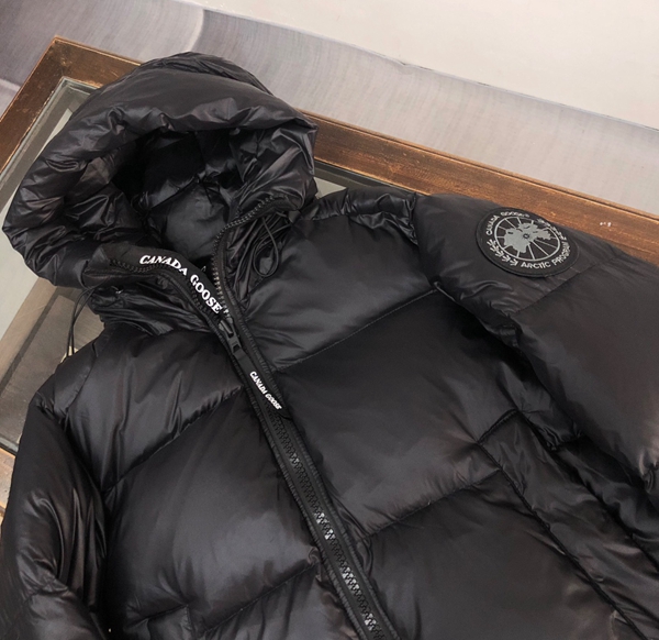 ハイクオリティダウンジャケット背面デザイン